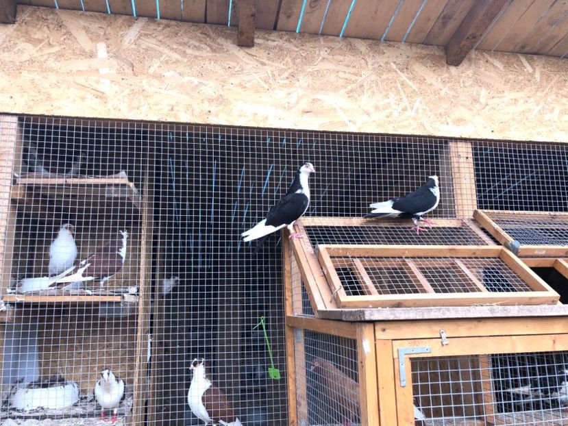  - 00000001 pe afară