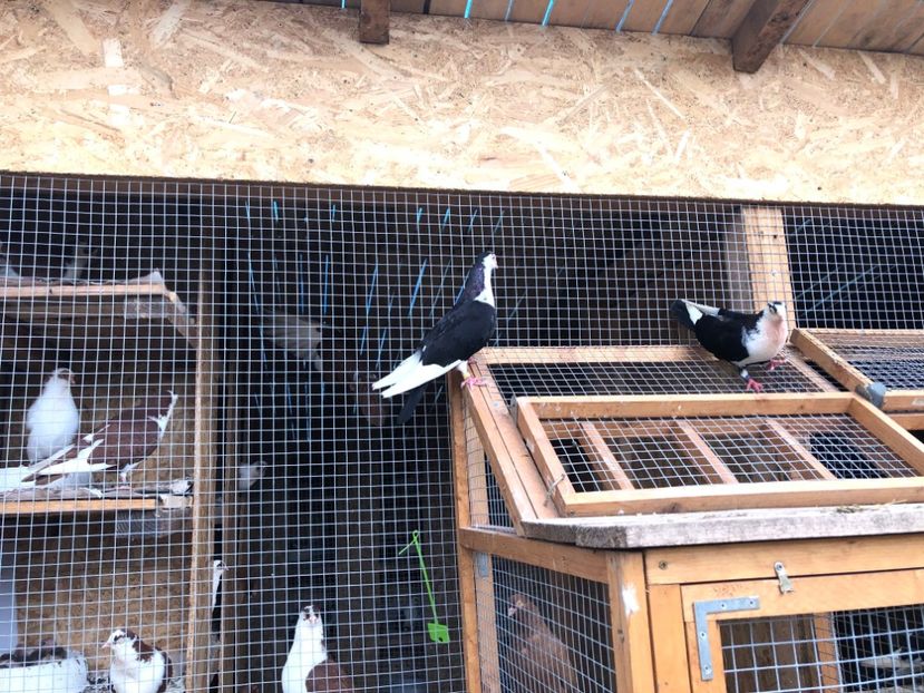  - 00000001 pe afară