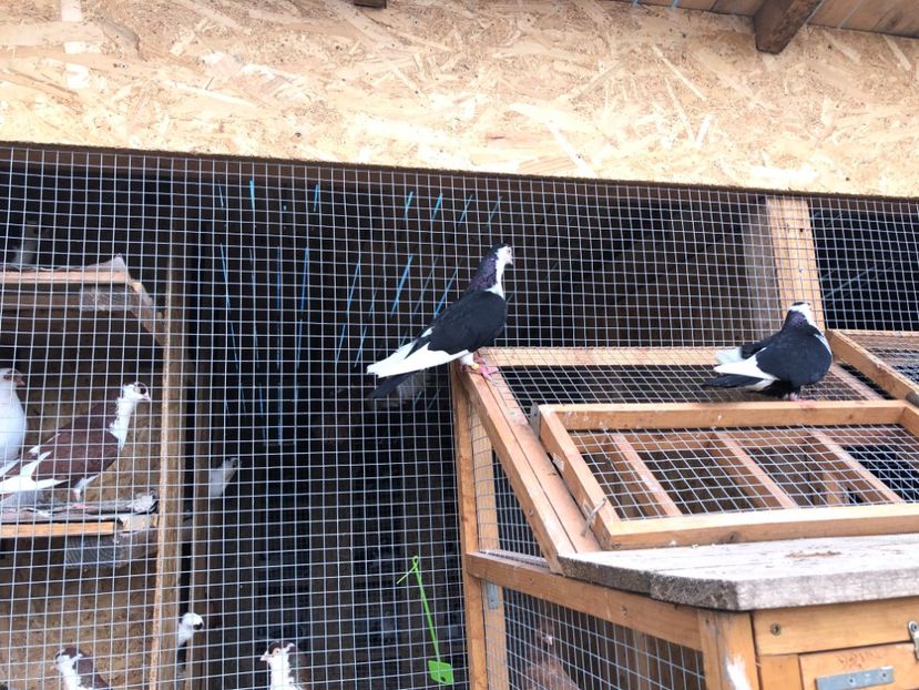  - 00000001 pe afară