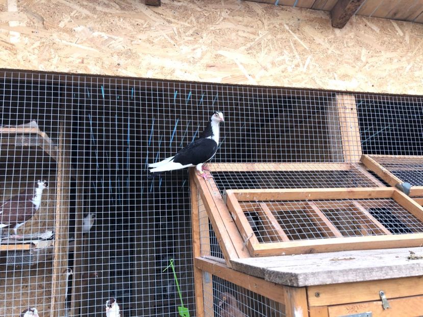  - 00000001 pe afară