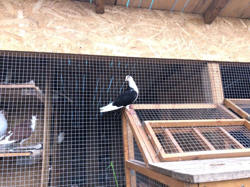  - 00000001 pe afară