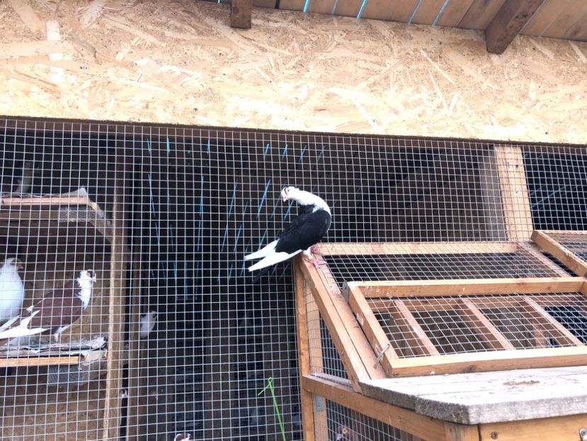  - 00000001 pe afară