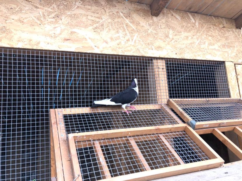  - 00000001 pe afară