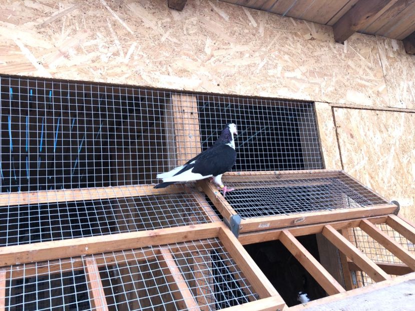  - 00000001 pe afară