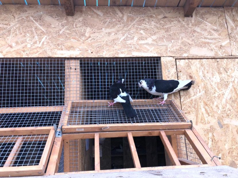  - 00000001 pe afară