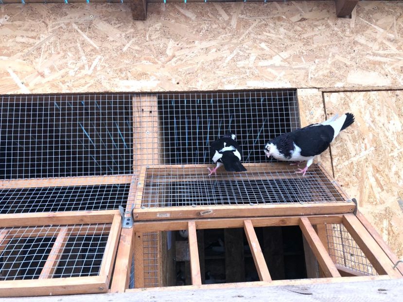  - 00000001 pe afară