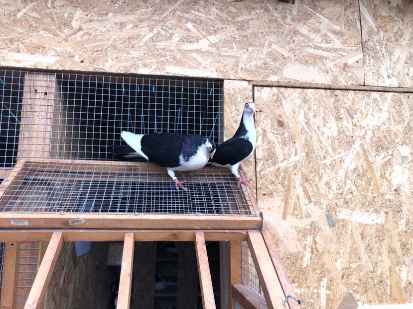  - 00000001 pe afară