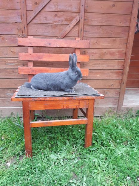 8F33DBE5-5E12-488A-822B-234E8E19280D - New generation 2020