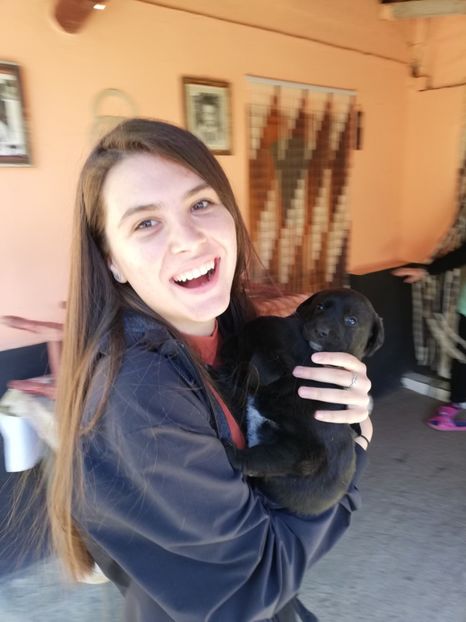  - 2020-Paznicul porumbeiilor