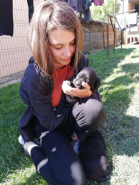  - 2020-Paznicul porumbeiilor