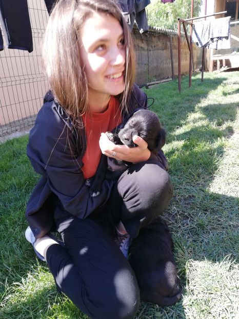  - 2020-Paznicul porumbeiilor