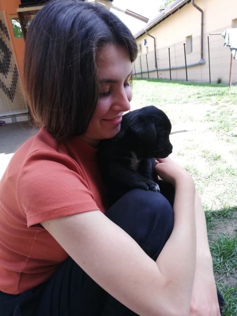  - 2020-Paznicul porumbeiilor