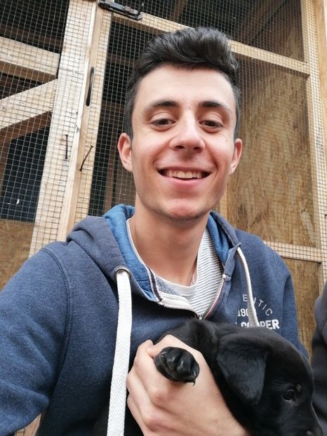  - 2020-Paznicul porumbeiilor