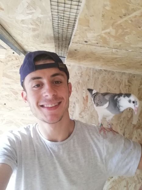  - 2020-Pui Seria a doua