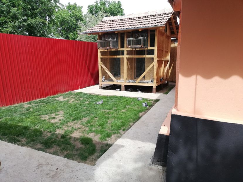  - 2020-Pui Seria a doua