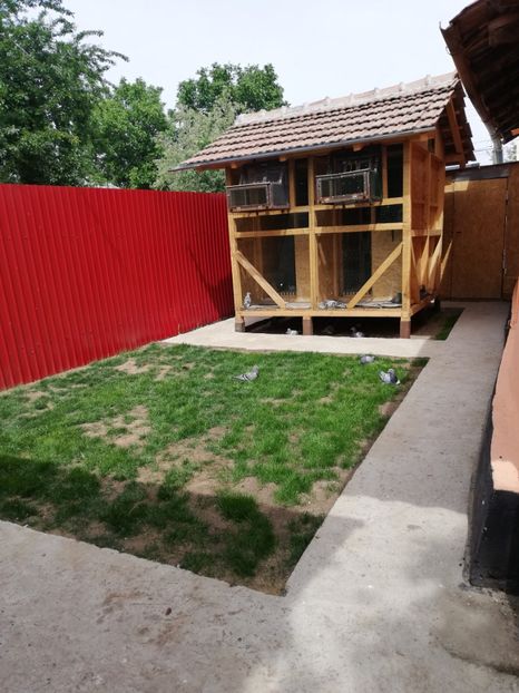  - 2020-Pui Seria a doua