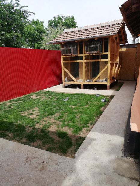  - 2020-Pui Seria a doua