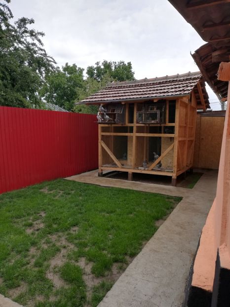  - 2020-Pui Seria a doua