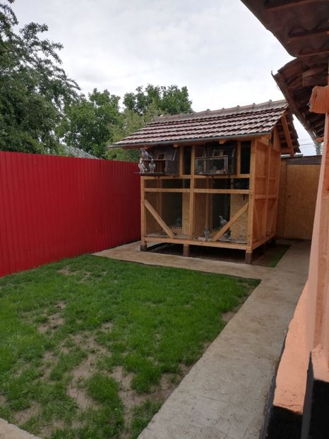  - 2020-Pui Seria a doua