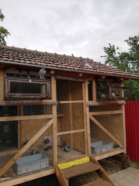  - 2020-Pui Seria a doua