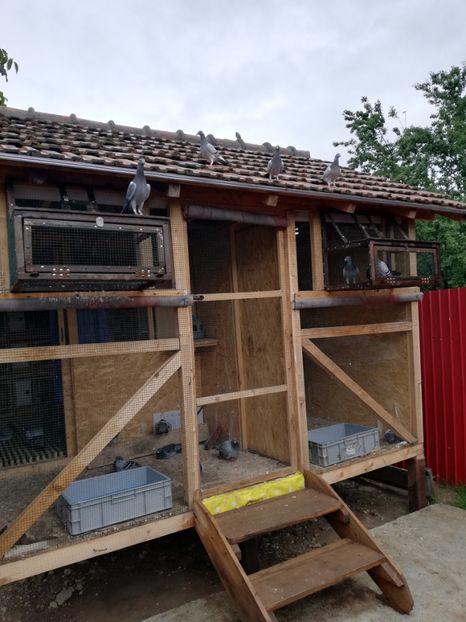  - 2020-Pui Seria a doua