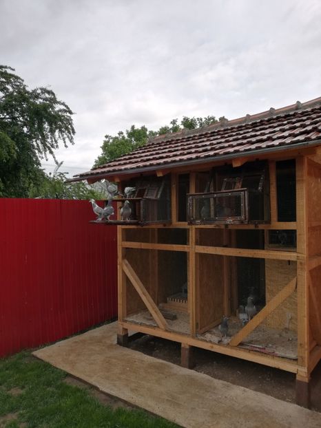  - 2020-Pui Seria a doua