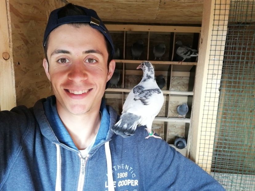  - 2020-Pui Seria a doua