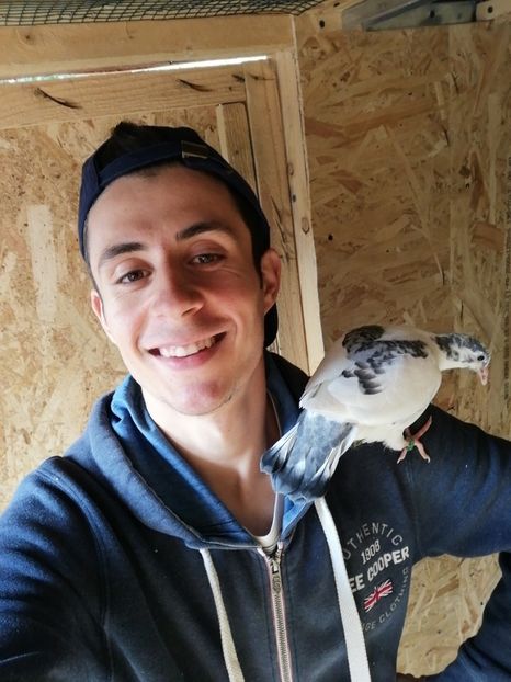  - 2020-Pui Seria a doua