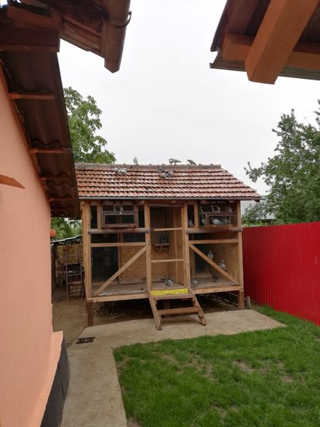  - 2020-Pui Seria a doua