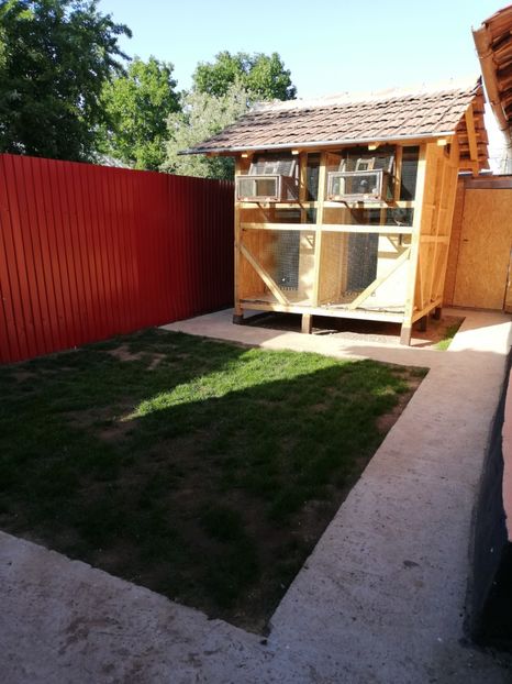  - 2020-Crescatorie Pui