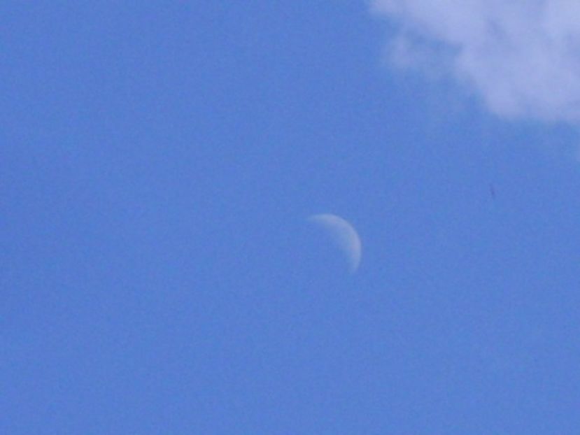 Primul patrar al Lunii in Fecioara - Luna - Soarele si norii - 2