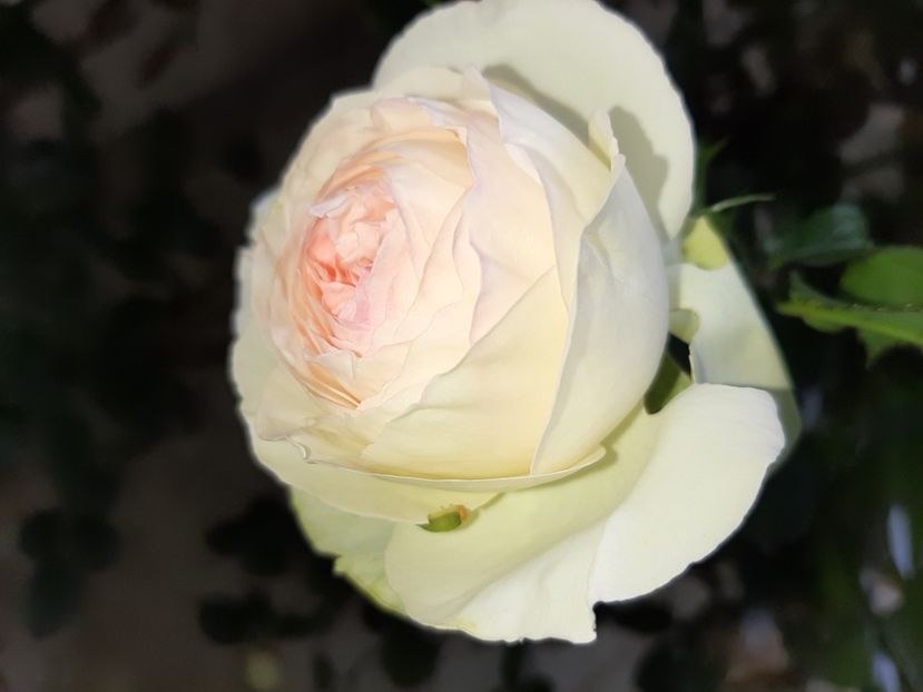  - La țară în mai 2020