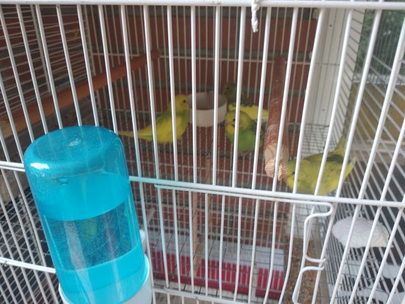  - Ce detin in Spania