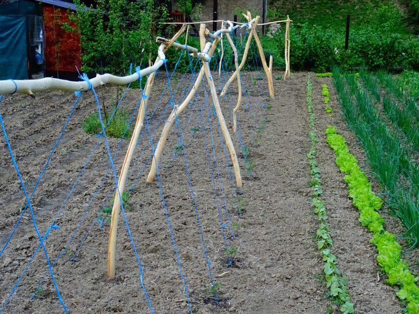  - Patakmenti-Hóstát kis gazdaság