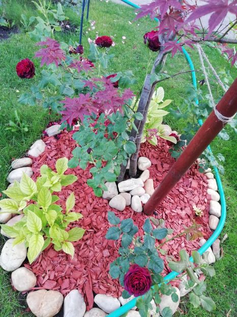  - Astrid Grafin von Hardenberg