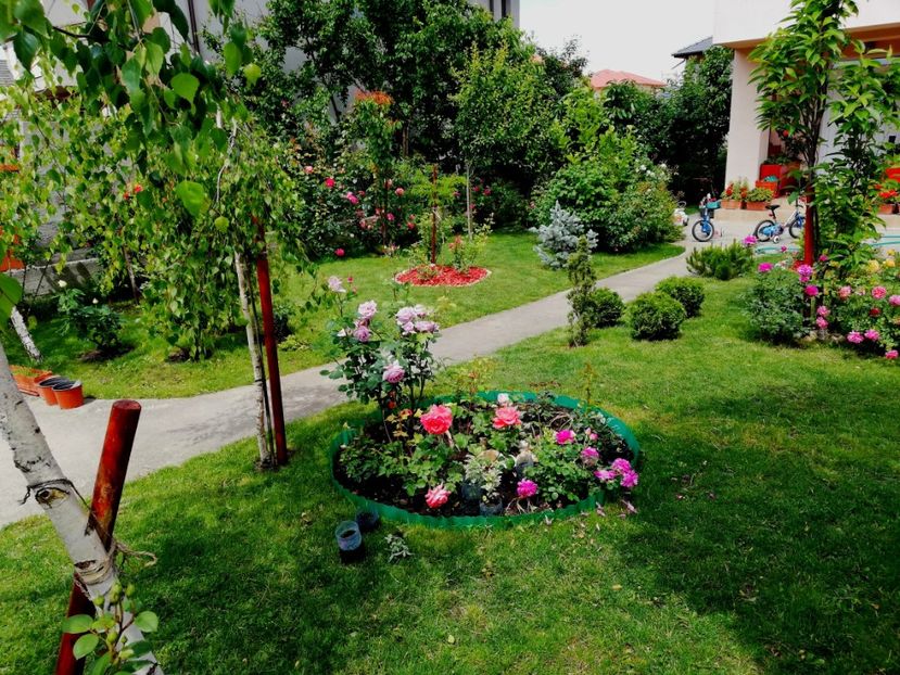  - Gradina sfârșit de mai 2020
