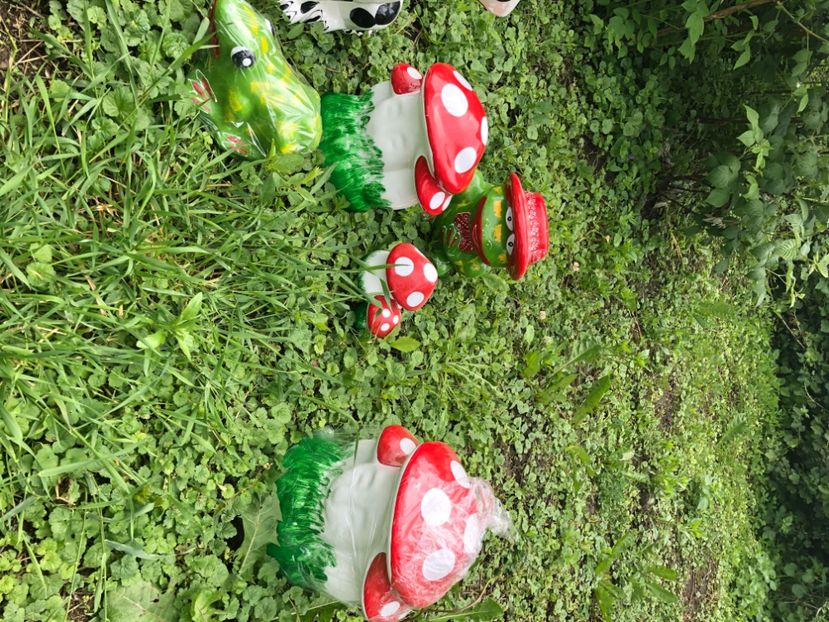 32D065F3-26D4-41A4-A8EF-32EB9314AEF6 - De Vanzare decoratii gradina