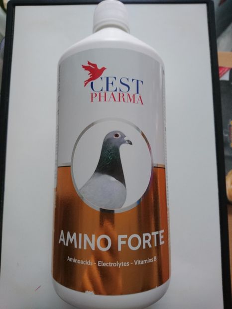 AMINO FORTE 1 L 100 RON - PRODUSE CEST PHARMA