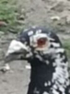 M 2019 - PT UN PRIETEN