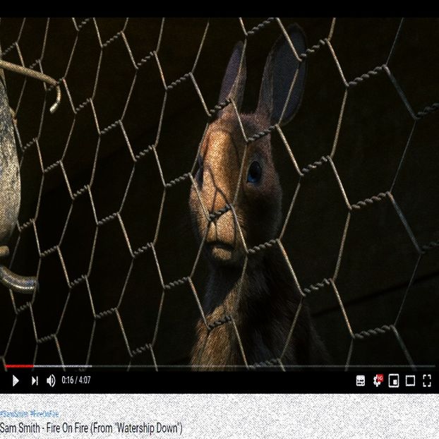 beourpower — Fire On Fire - So antisocial - but I dont care