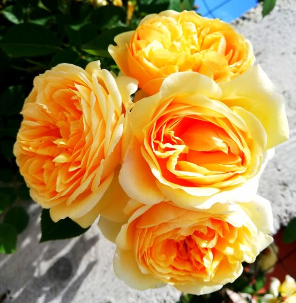  - Crown Princess Margareta