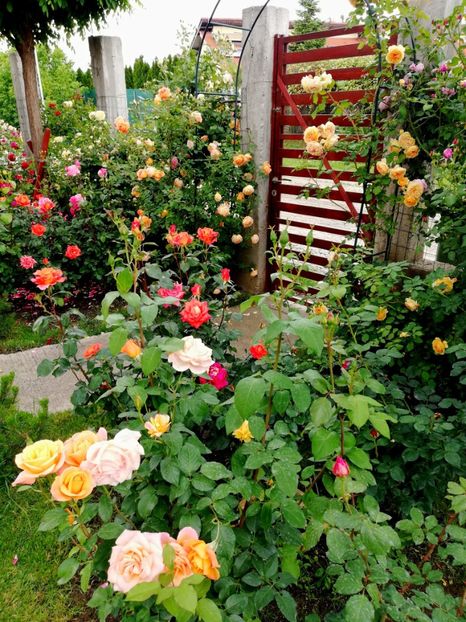  - Crown Princess Margareta