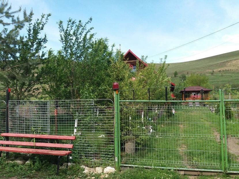  - casuta de la tara 2020