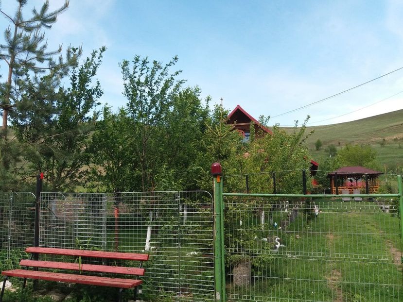  - casuta de la tara 2020