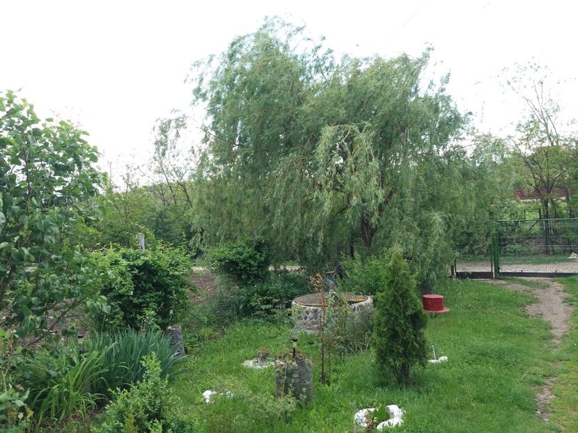  - casuta de la tara 2020