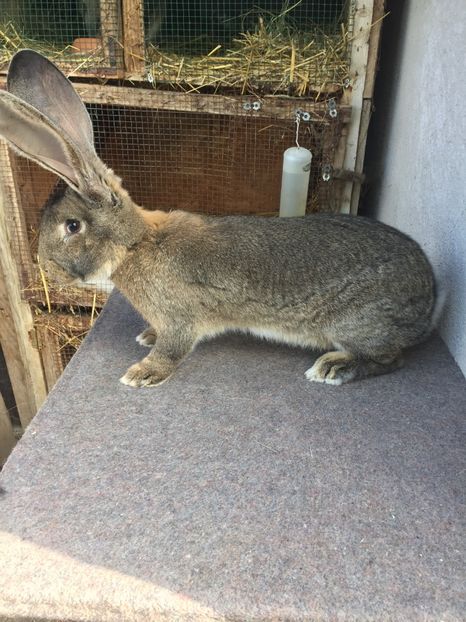 A2684467-F11A-4481-AA47-3E7A47936698 - RO 8-11997