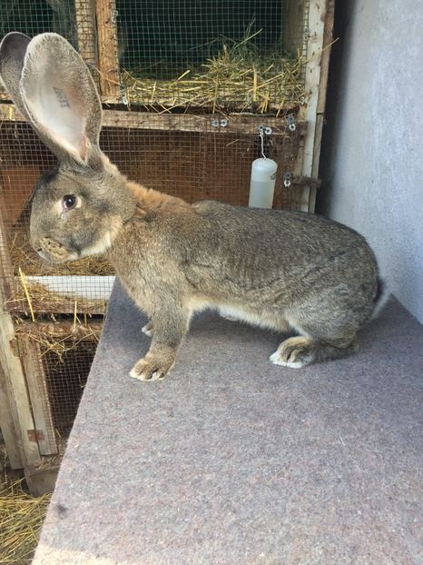 E2695E83-5A2C-4276-A8D3-363AFBB68602 - RO 8-11997