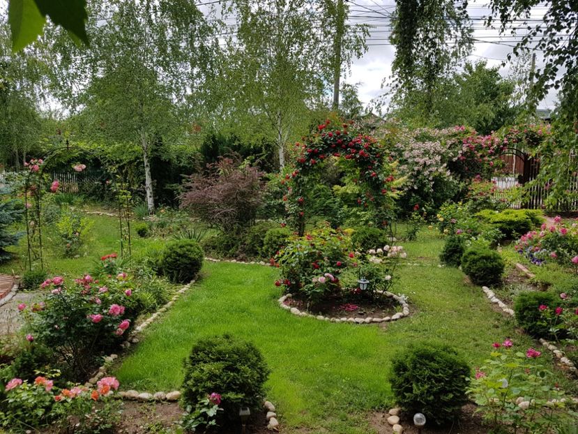  - 2020_Roze_Gradina Rozelor