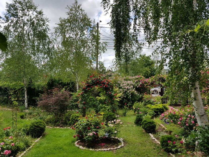  - 2020_Roze_Gradina Rozelor