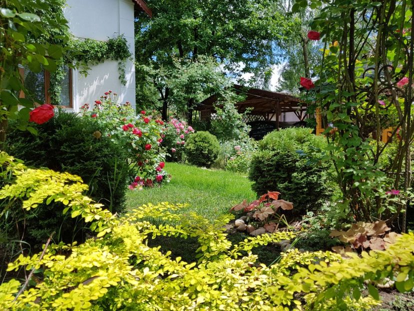  - 2020_Roze_Gradina Rozelor